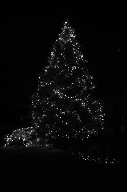 Slavnostní rozsvícení vánočního stromu 27.11.2022